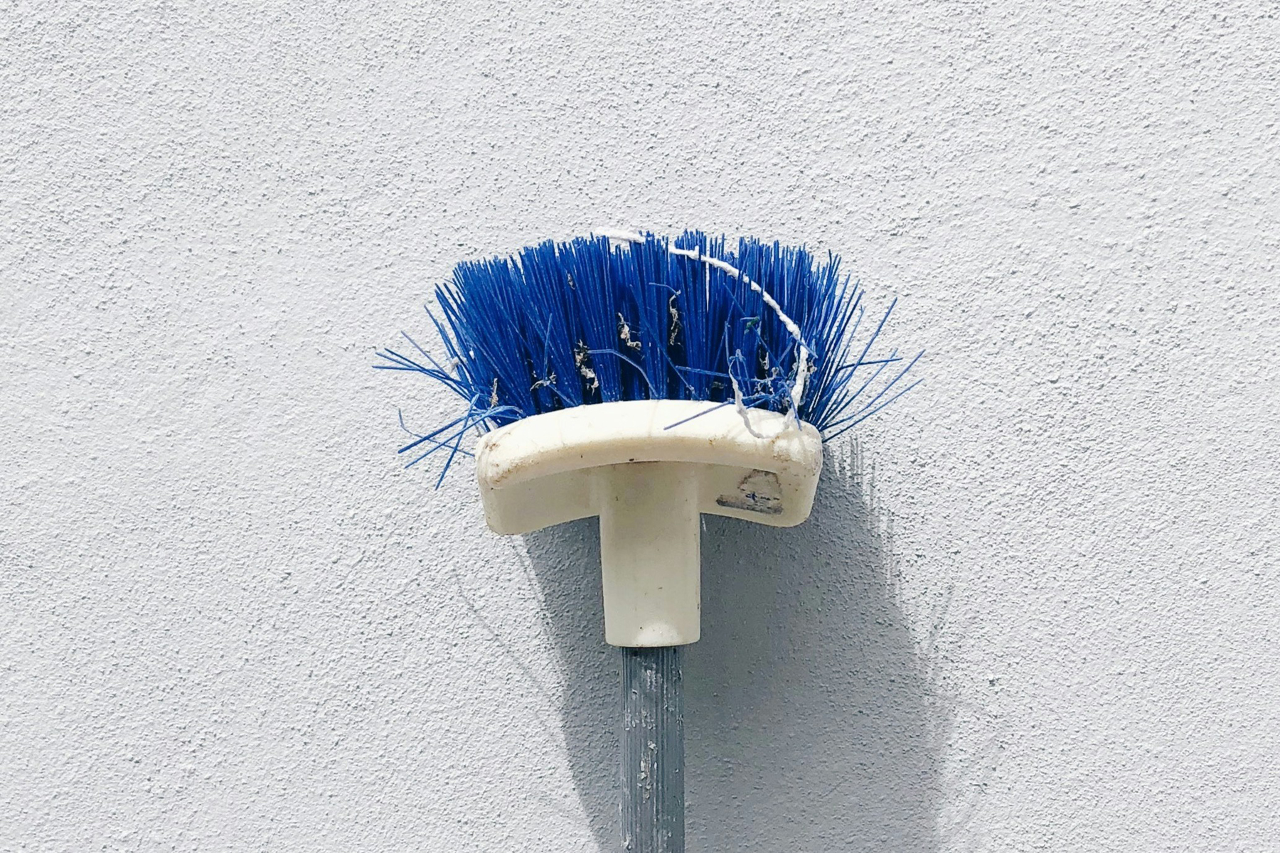 Bürste und Seifenwasser zur natürlichen Reinigung im Freien